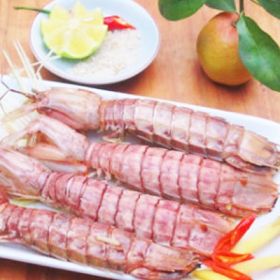 Bề Bề Hấp Nguyên Con