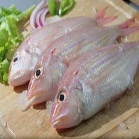 Cá Lượng Phèn